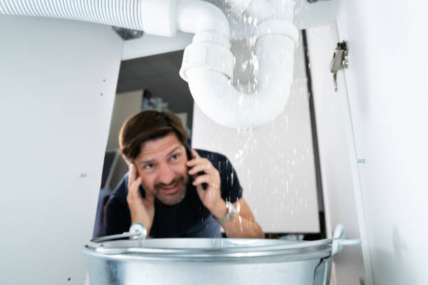 Best Local Plumber Services  in La Luz, NM